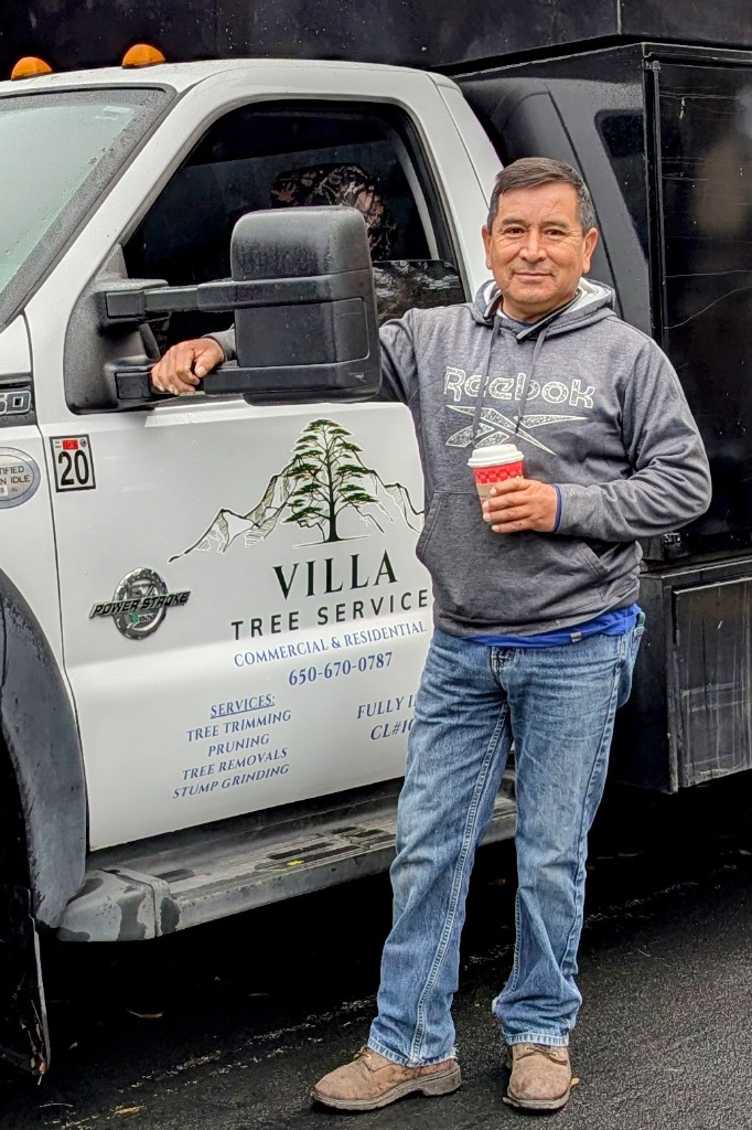 Villa Tree Service